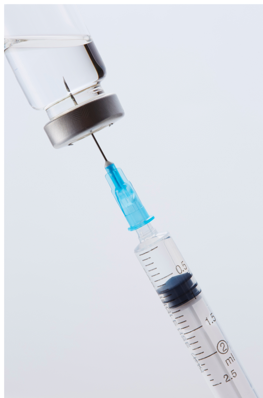 Website Homepage Fashion Collage Banner